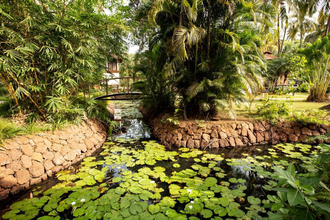 Coconut Creek Resort - Dabolim Airport Mormugao Exteriör bild