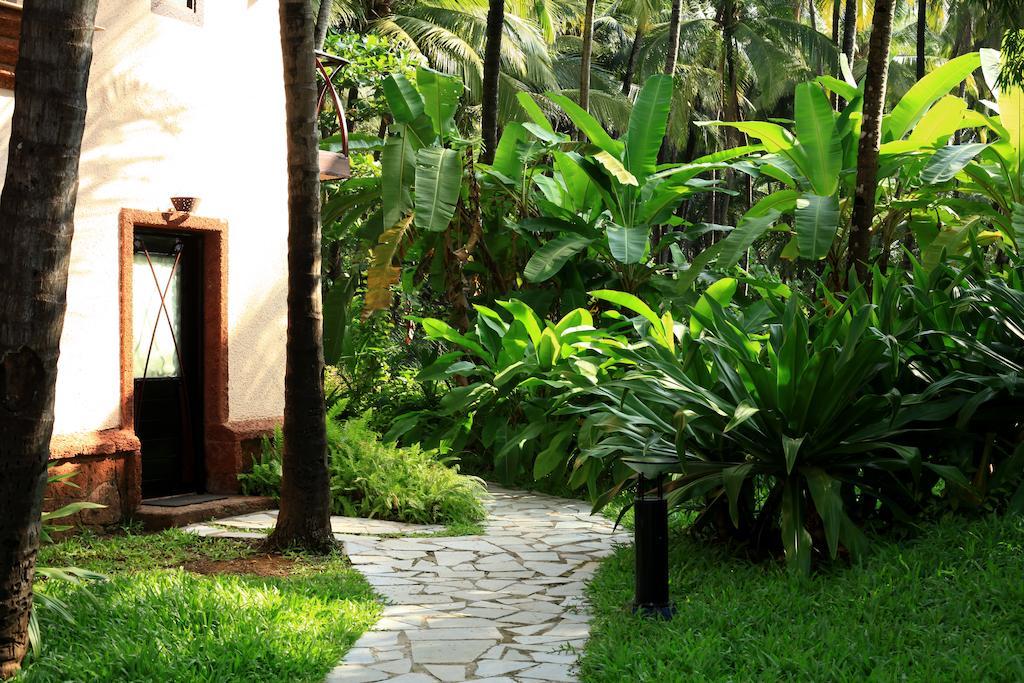 Coconut Creek Resort - Dabolim Airport Mormugao Exteriör bild